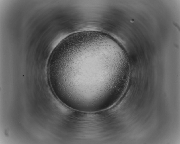 X0000097851423200803141207