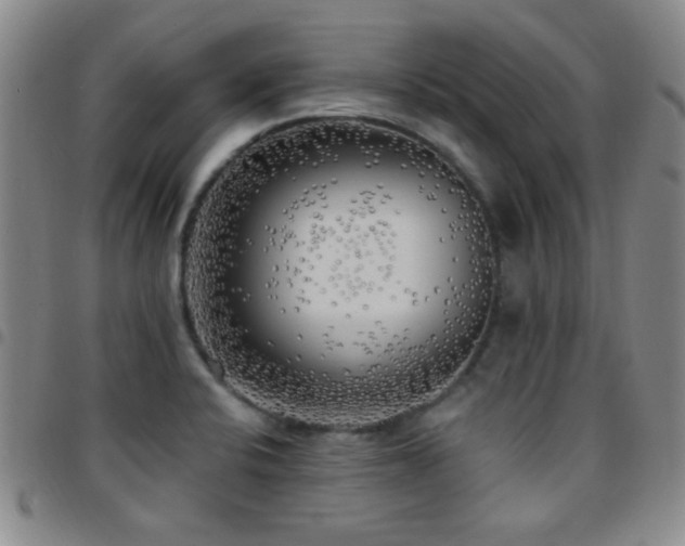 X0000097851424200803141207