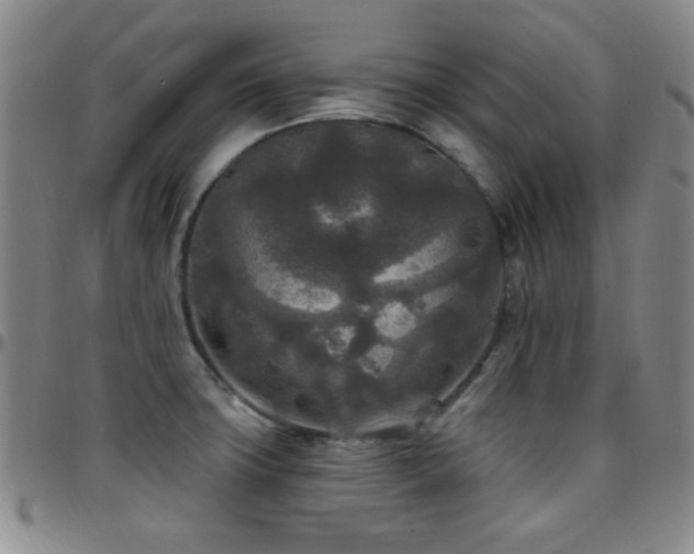 X0000097851427200803141207