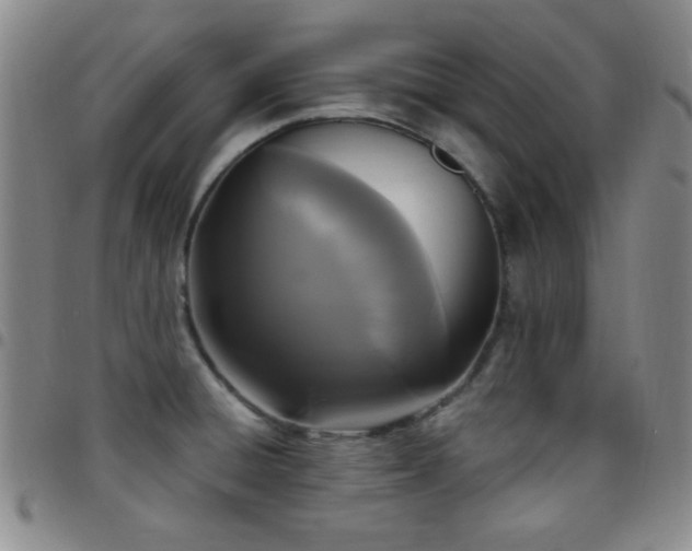 X0000097851428200803141207