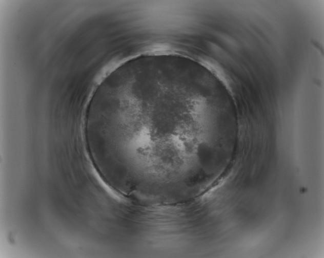 X0000097851429200803141207