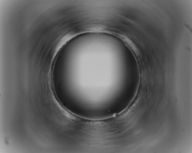 X0000097851432200803141207