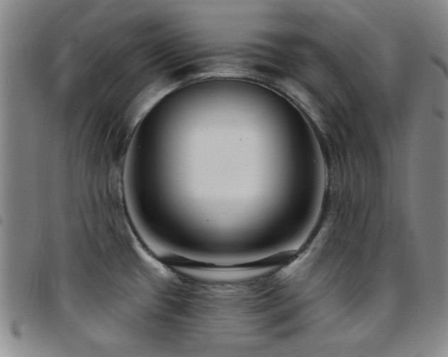 X0000097851433200803141207