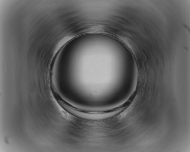 X0000097851434200803141208