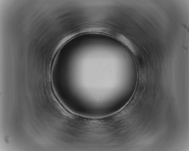 X0000097851436200803141208