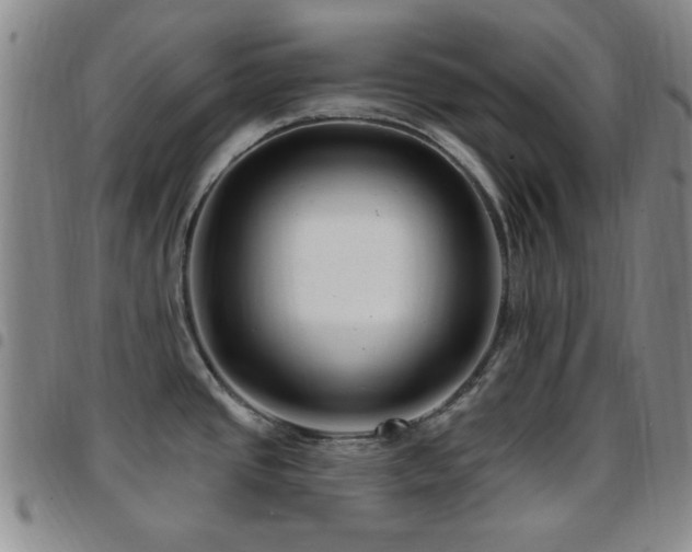 X0000097851437200803141208