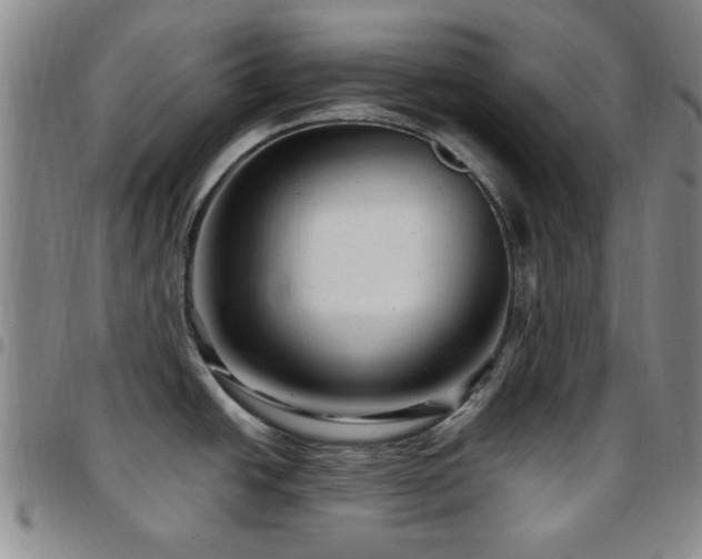 X0000097851438200803141208