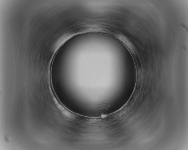 X0000097851439200803141208