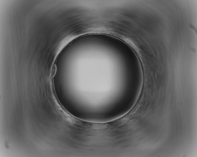 X0000097851440200803141208