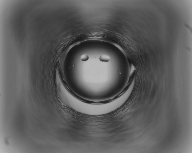 X0000097851441200803141207
