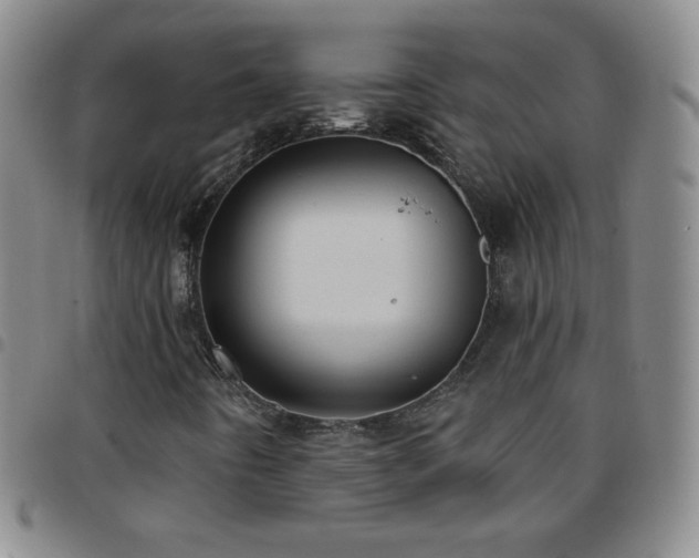 X0000097851442200803141207