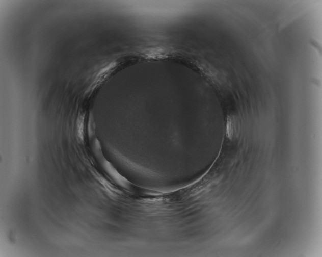 X0000097851444200803141207