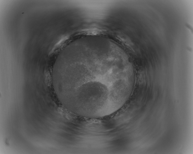 X0000097851446200803141207