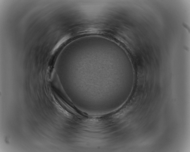 X0000097851450200803141207