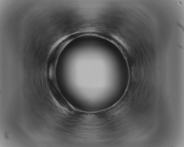 X0000097851452200803141207