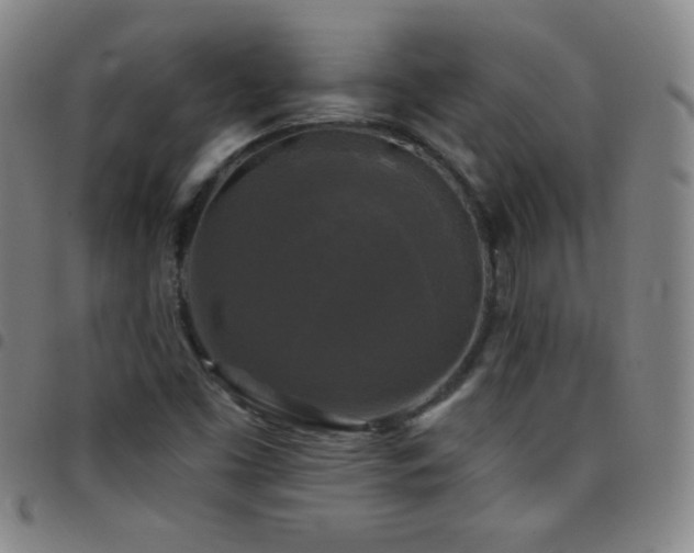 X0000097851453200803141207
