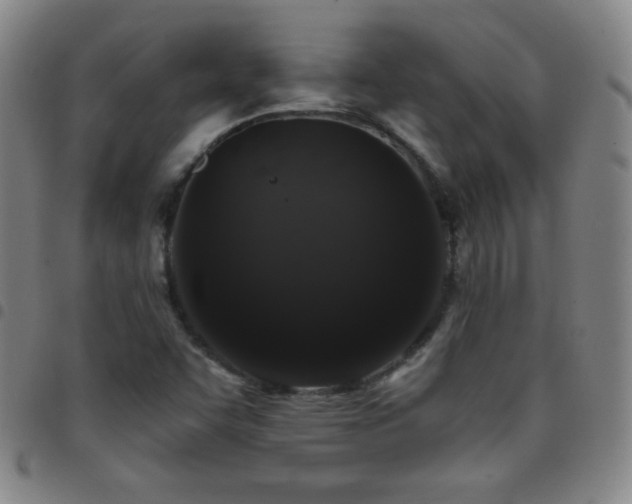 X0000097851455200803141207