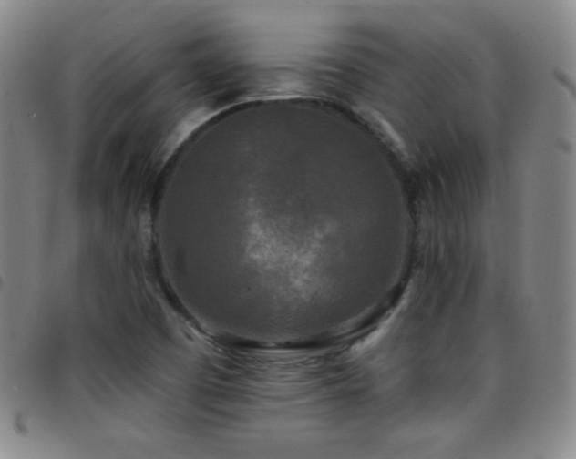 X0000097851457200803141207