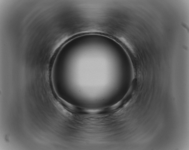 X0000097851460200803141207