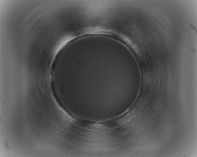 X0000097851463200803141207