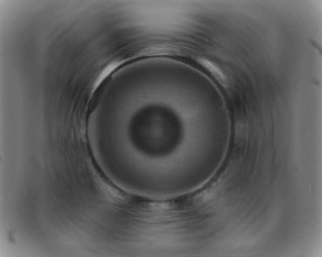 X0000097851465200803141207