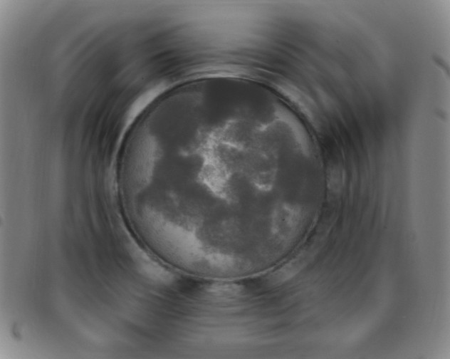 X0000097851466200803141207