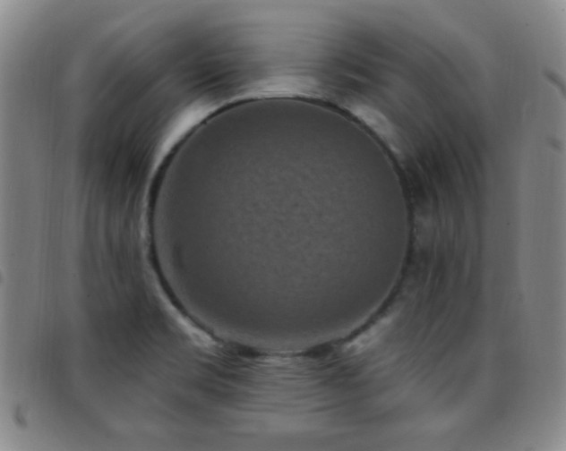 X0000097851469200803141207