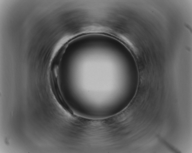 X0000097851472200803141207