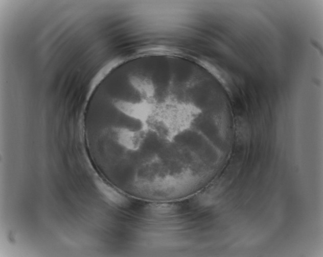 X0000097851474200803141206