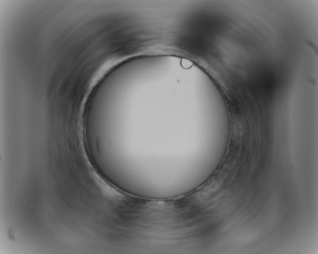 X0000097851478200803141206