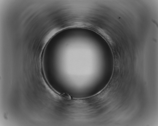 X0000097851479200803141206