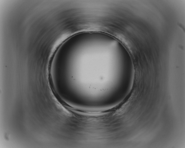 X0000097851480200803141206