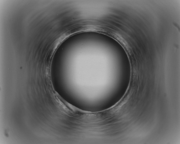 X0000097851481200803141206
