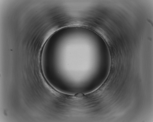 X0000097851483200803141206