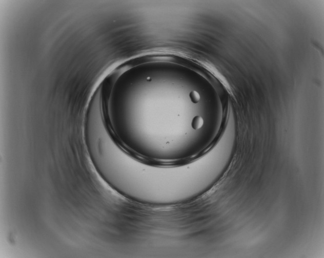 X0000097851484200803141206