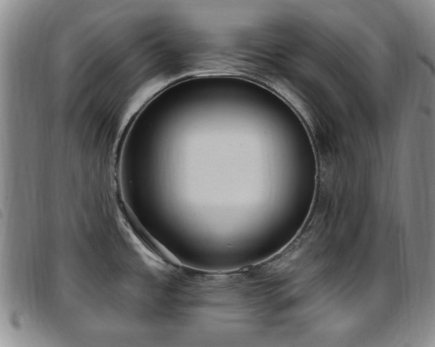X0000097851485200803141206