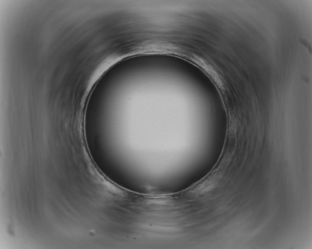 X0000097851486200803141206