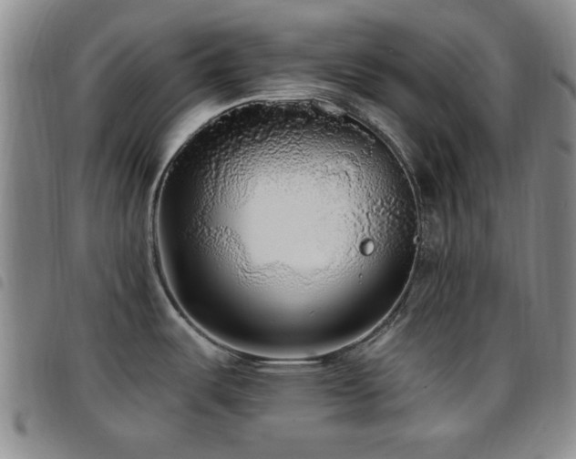 X0000097851487200803141206