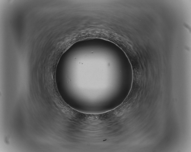 X0000097851489200803141206