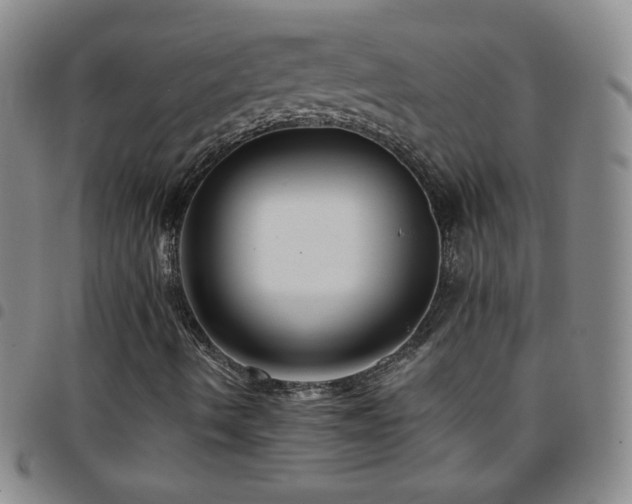 X0000097851490200803141206