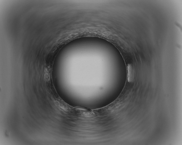 X0000097851491200803141206