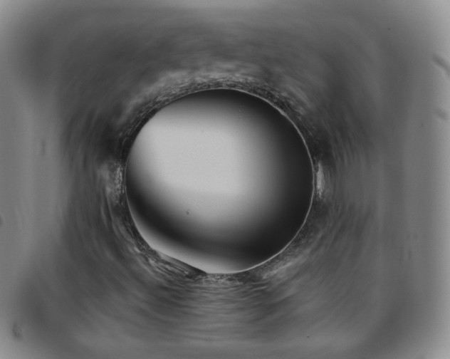 X0000097851492200803141206
