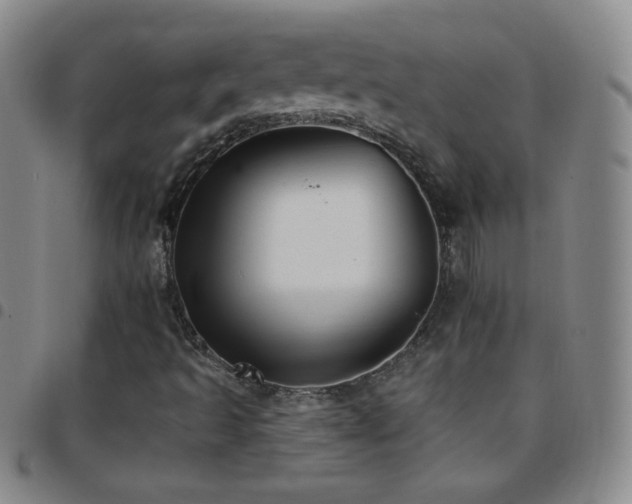 X0000097851493200803141206