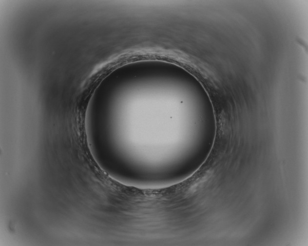 X0000097851494200803141206