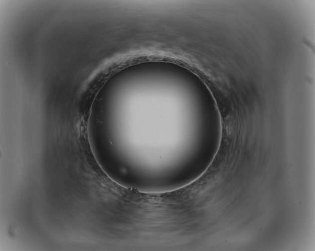 X0000097851495200803141206