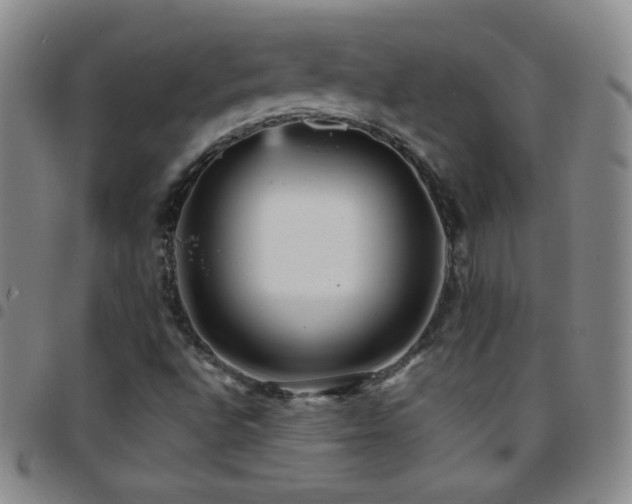 X0000097851496200803141206