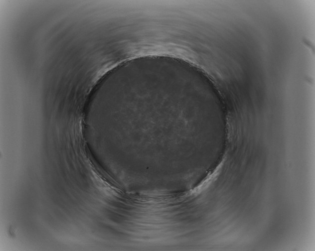 X0000097851497200803141206