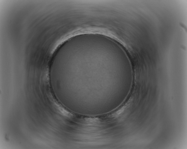 X0000097851498200803141206