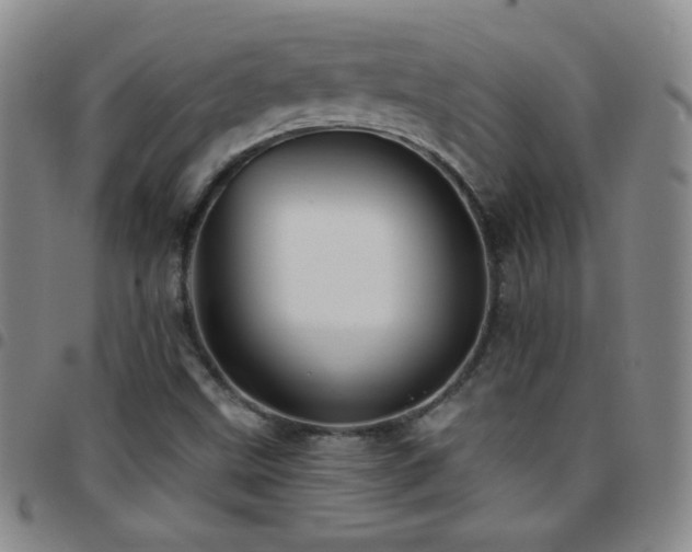 X0000097851499200803141206