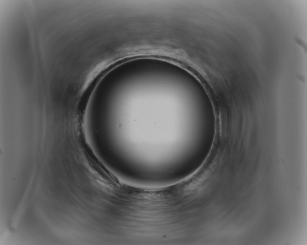 X0000097851501200803141206